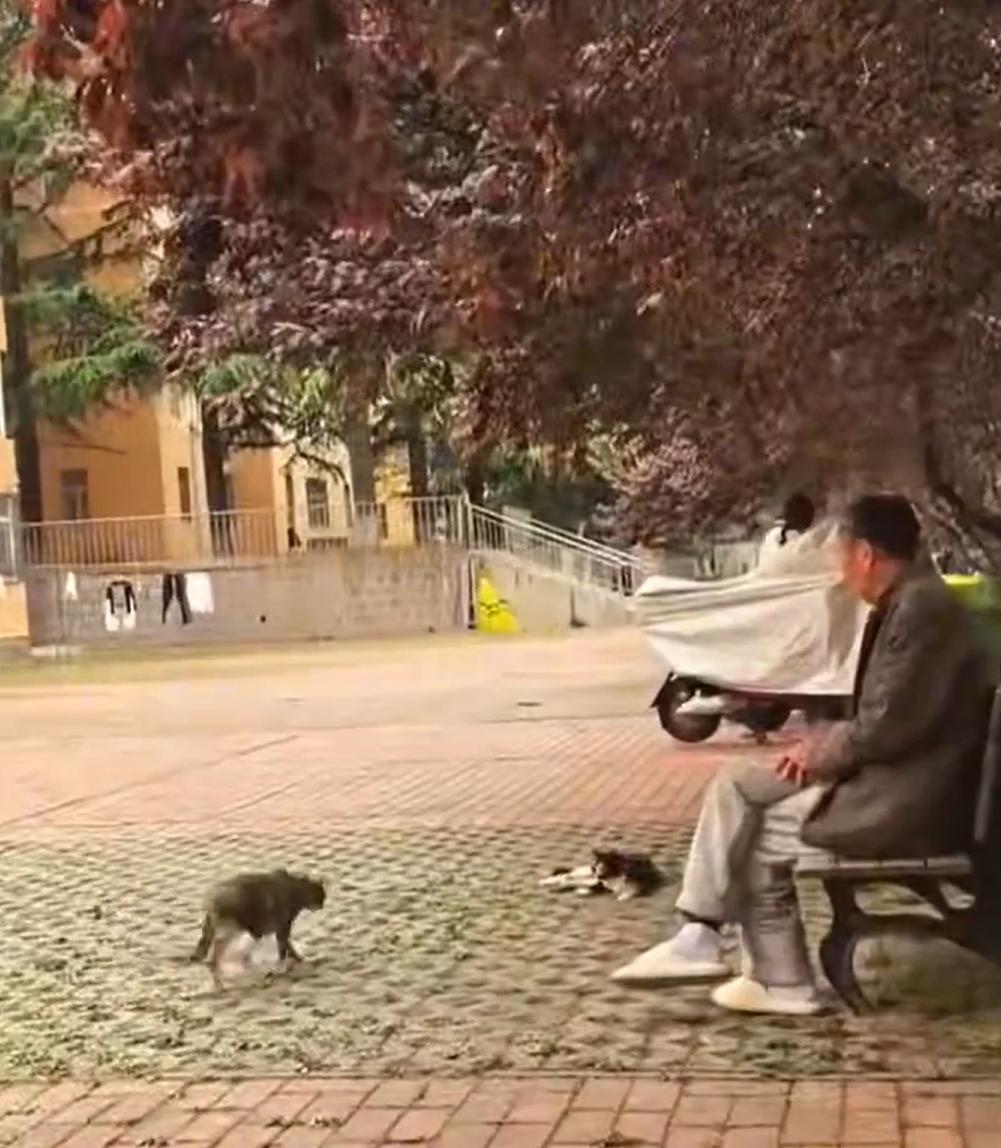 青島大學:宿舍馬上裝空調